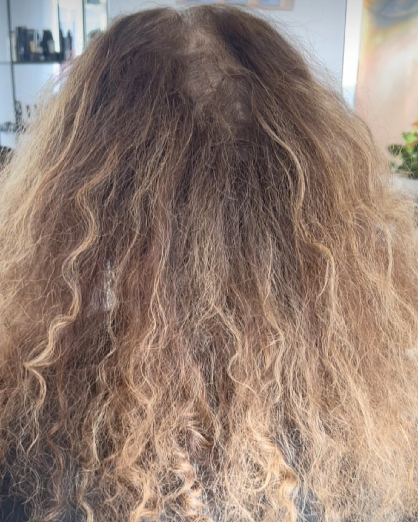 Lockiges Haar vor der Behandlung, unruhiges Locken-Muster ohne Definition